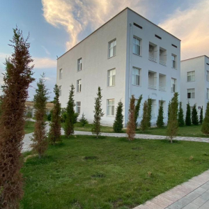 WhatsApp Image 2025 01 31 At 21.49.56